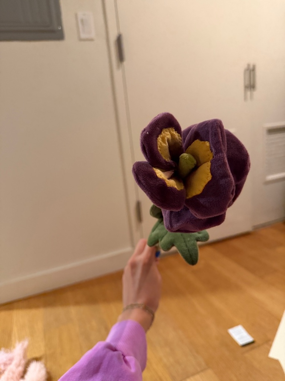 NEW Cj Hendry Flower Market 2026 Purple Pansy Plush Flower NYC